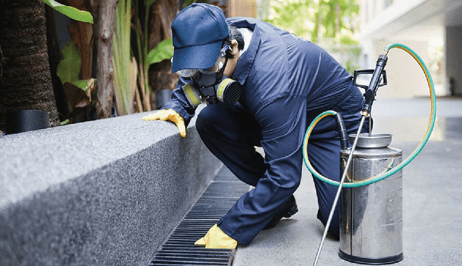 Come viene effettuata una corretta derattizzazione gli step